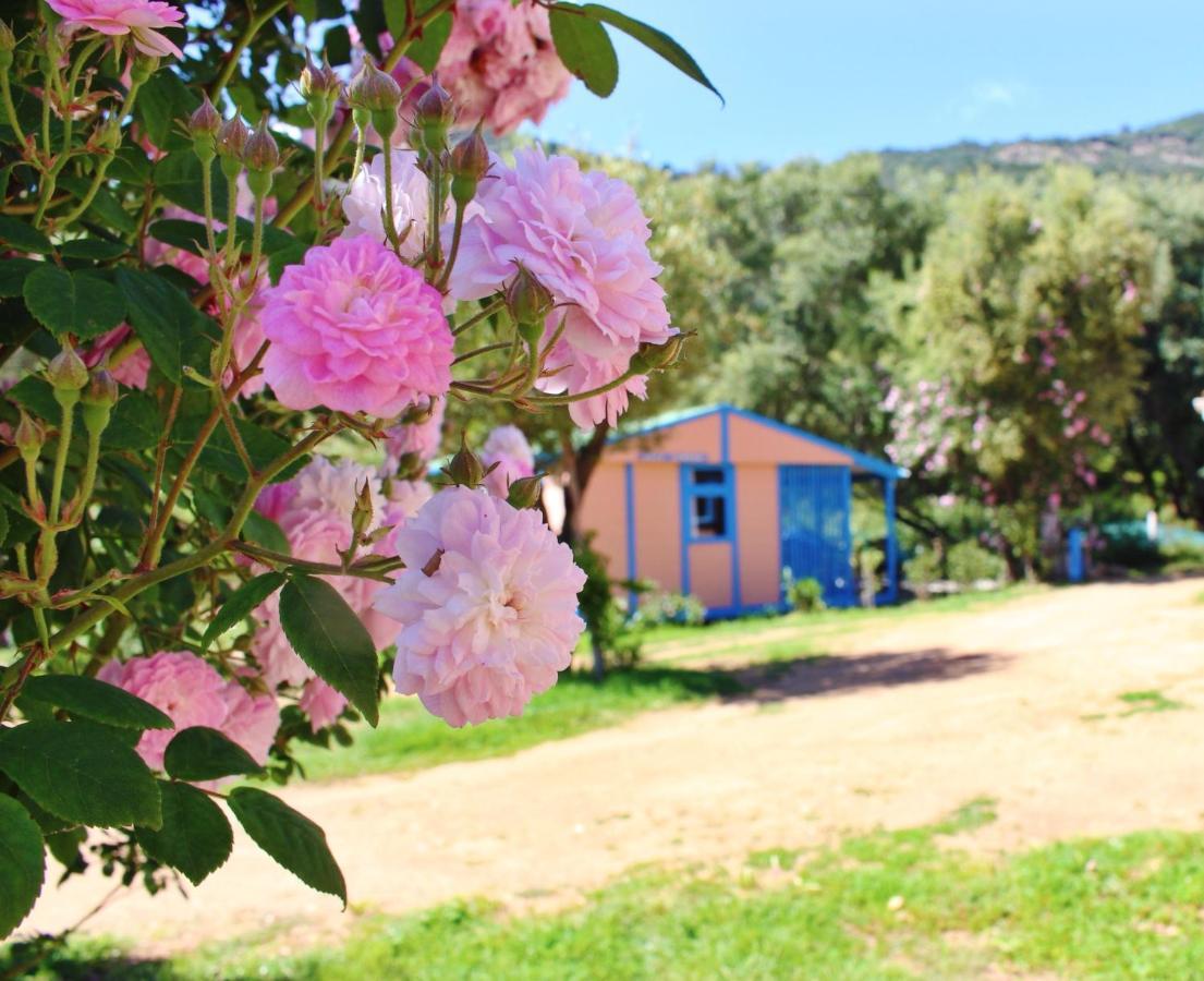 Residence Itylon Cargèse Εξωτερικό φωτογραφία