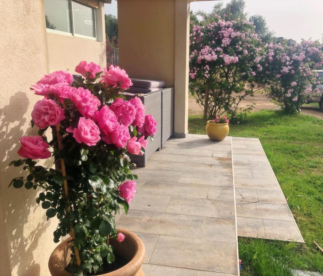 Residence Itylon Cargèse Εξωτερικό φωτογραφία