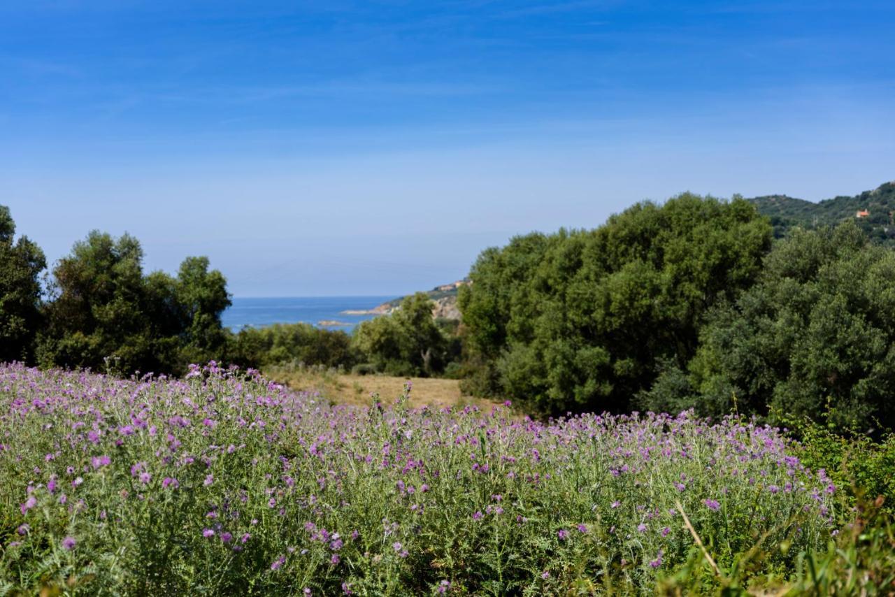 Residence Itylon Cargèse Εξωτερικό φωτογραφία